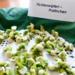 Die traumhaften Fichtenwipfel-Pralinen